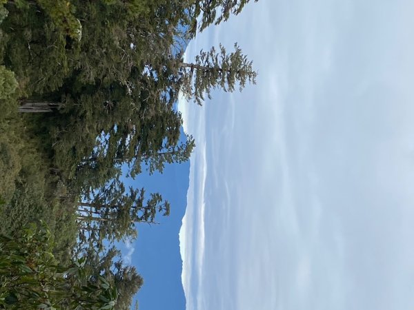 1131215大塔山步道2669086