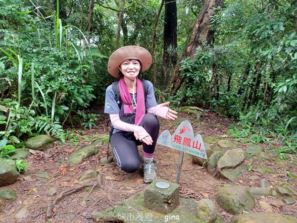 【新竹芎林】台灣百大必訪步道。 飛鳳山、觀日坪古道O繞2564342