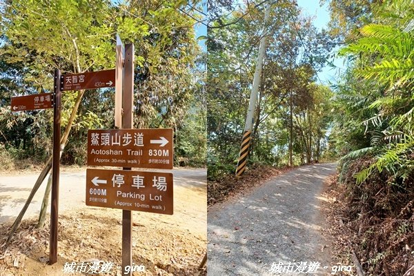 【南投埔里】天旨宮鰲頭山步道x虎頭山鯉魚潭步道x虎頭山觀景平台連走2988487