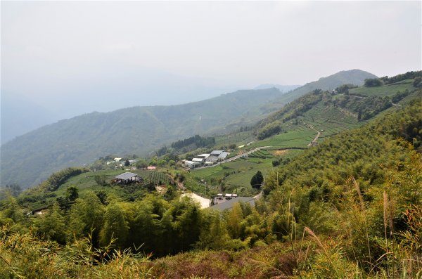 後棟仔山 & 雲嘉大尖山1378299