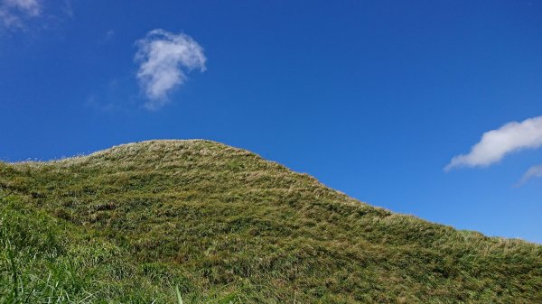 鶯子頂山與鶯子嶺趴趴走417474