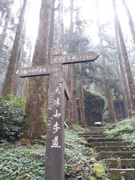 嘉義大凍山O型-頂湖起20180602348593