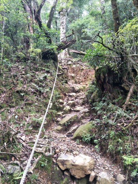 小百岳:稍來山1441840