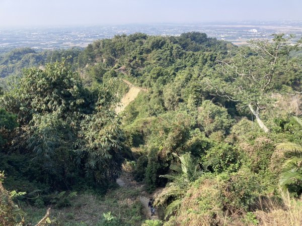 龍過脈森林步道2975678