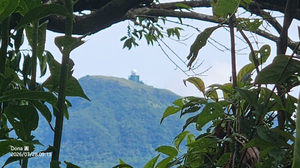 平湖西步道.內平林山.大坑山.平湖東步道O走全紀錄3094142
