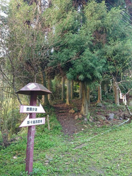 雲霧步道上鵝公髻山2425625