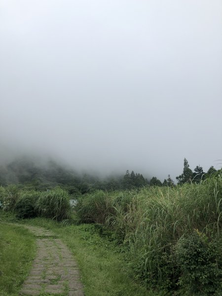 環七山人車分道-百拉卡到冷水坑2171388