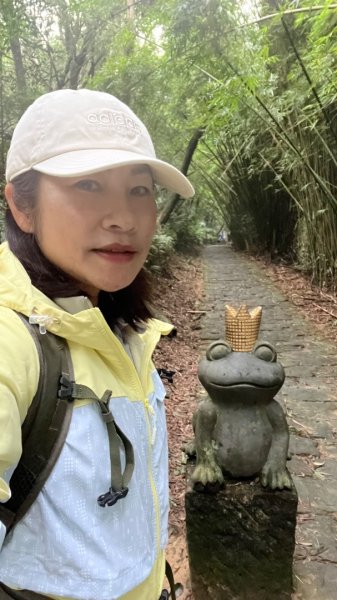 小百岳_大崙頭山2959967