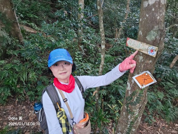 南插天山.魯培山.上宇內山(南插北峰)2989750