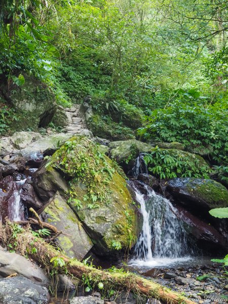 [宜蘭]五峰旗-聖母山莊-三角崙山820490