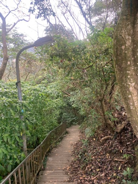 20200129麟光站到中華科大817865