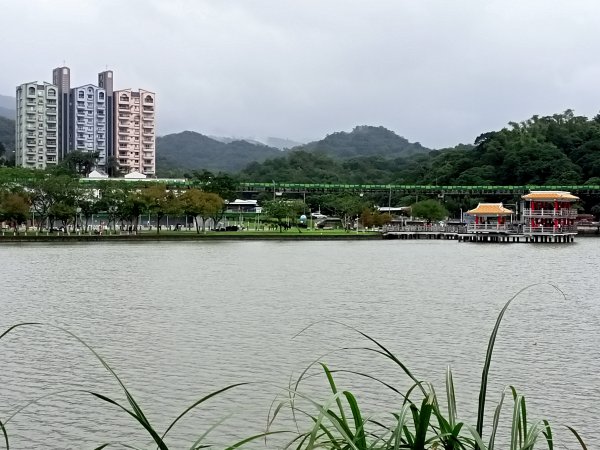 大湖公園《門庭若市》1903713