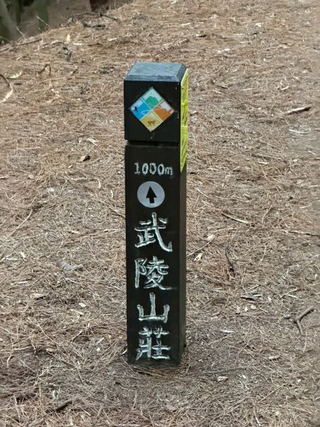 1141108-09桃山單攻2936049