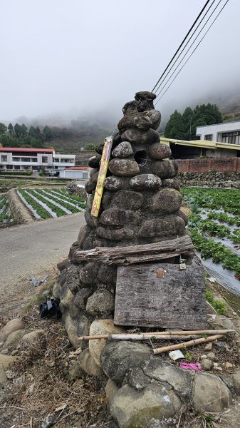 【馬年走馬山，馬到就成功！】🐴馬年馬路要走，馬那邦🏔️也要登！O繞11K，爬升900M，🥾腿在2977163