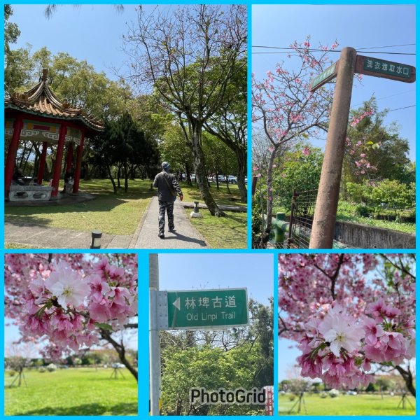 樟之細路-尋寶💎任務1-53019786