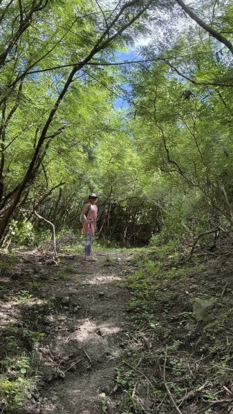 20250811小百岳大山母山2858847