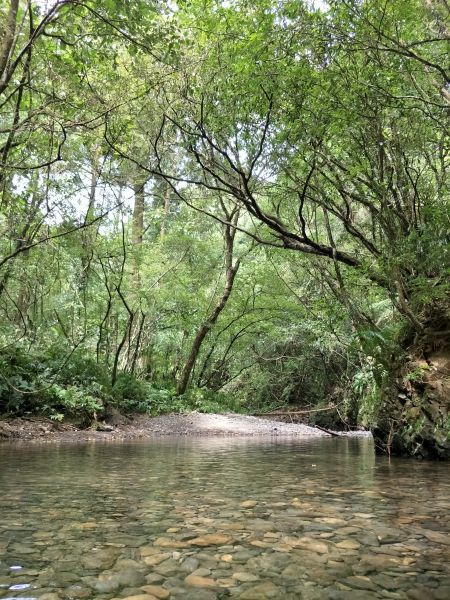 坪溪古道封面