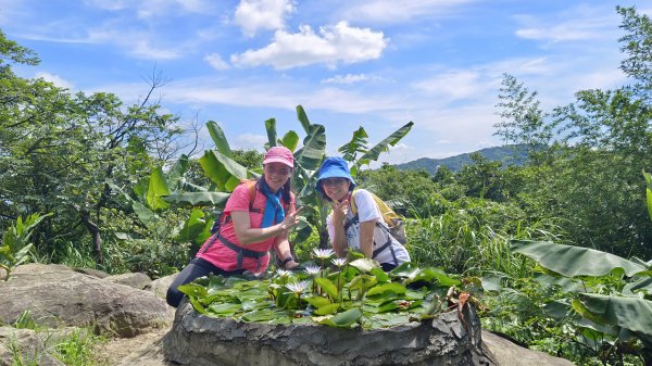 (姨婆趴趴走)第十三集:桃園龜山福源山步道、大棟山縱走2191712