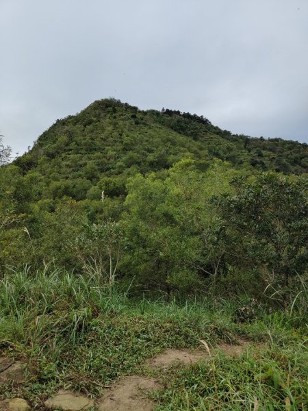 2023.12.14 鵲子山2804620