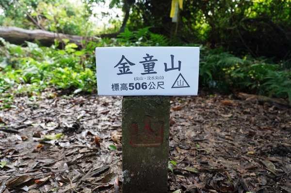 苗栗 大湖 金童山、玉女山、汶水山