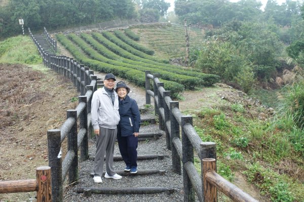 南山寺觀景台3086099