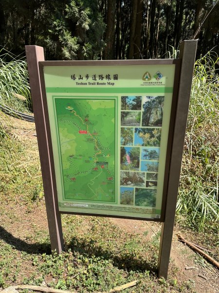 最高的小百岳大塔山2081582