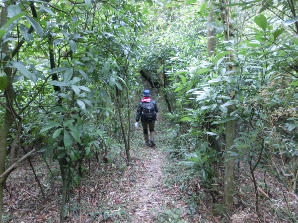 白鷺鷥山．康樂山．牛稠尾山96352