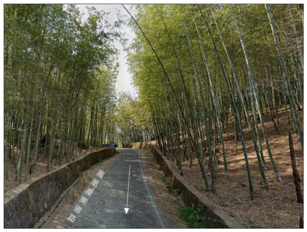 鳳凰谷步道(鹿谷鄉)2690456