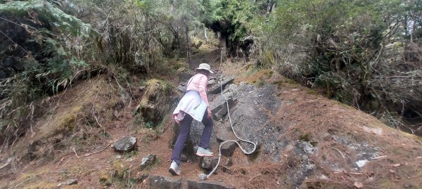 20250114東埔山；20250115二延平步道2693810