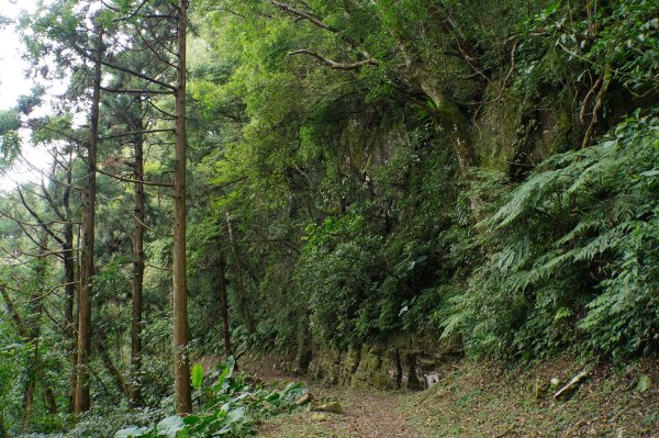 桃園-三峽 志繼山、東眼山、拉卡山、卡外山3005222