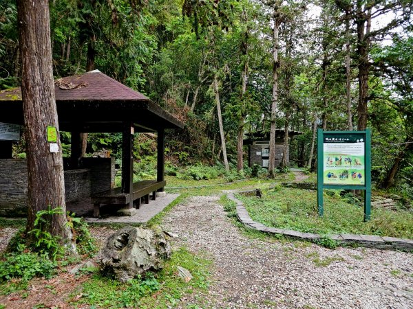 瓦拉米步道(登山口至佳心段)-(花蓮)臺灣百大必訪步道2789429