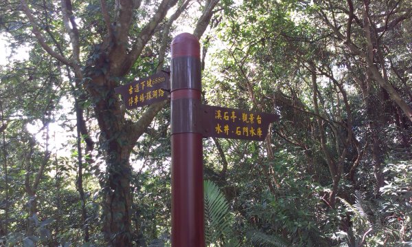 百吉林蔭步道&新溪洲山縱走201309131958386