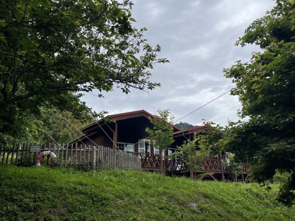 2025_0524 司馬庫斯神木群步道2797190