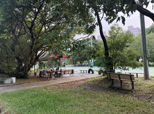[2026臺北健走趣-09/50] 2026_0806_景美河濱公園3110838