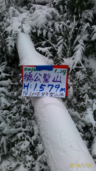 20160124新竹鵝公髻山下雪啦28961