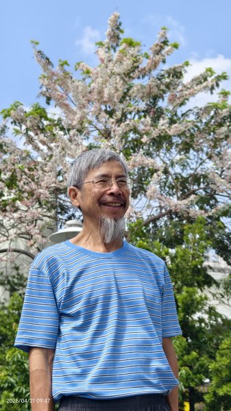 人生首見 #花旗木 #花博公園 首訪 #法雨山普宜苑  #石斛蘭 #守城滿山紅 4/21&233040130