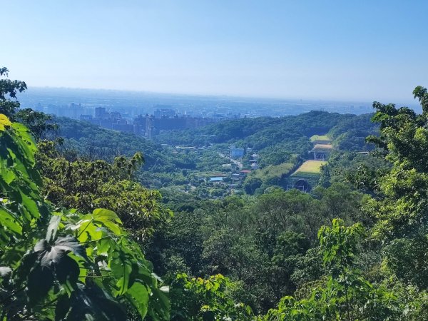 羊稠森林步道 - (桃園)臺灣百大必訪步道2299399