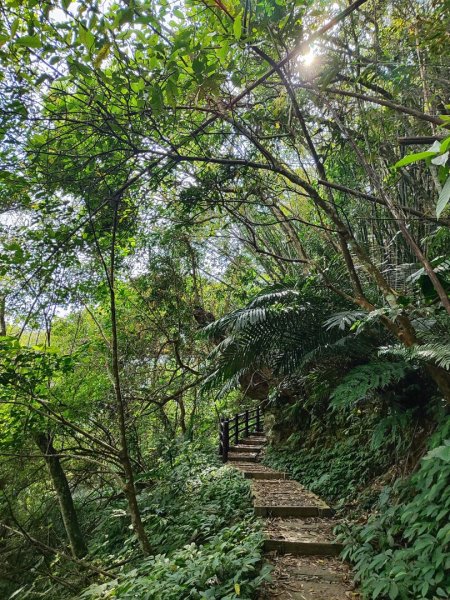 馬胎南坪古道2764740