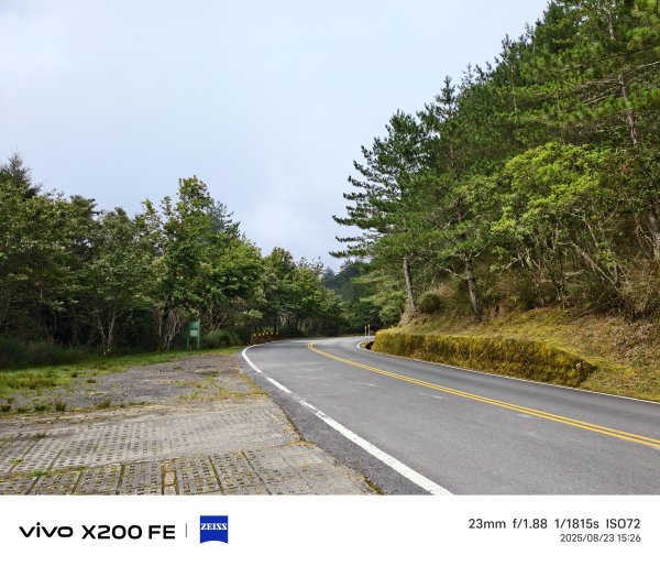 [玉山尋寶任務-06/12] 2025_0823 東埔山步道2870122