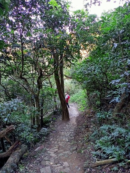 【臺北大縱走 5】劍潭山→文間山1242205