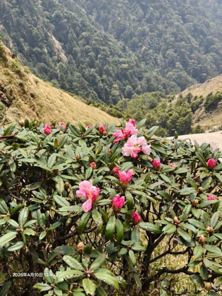 大小劍單日往返3036167