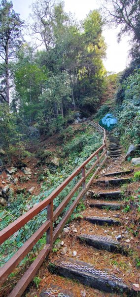 2022-01-09大雪山森林遊樂區森林浴步道1577380