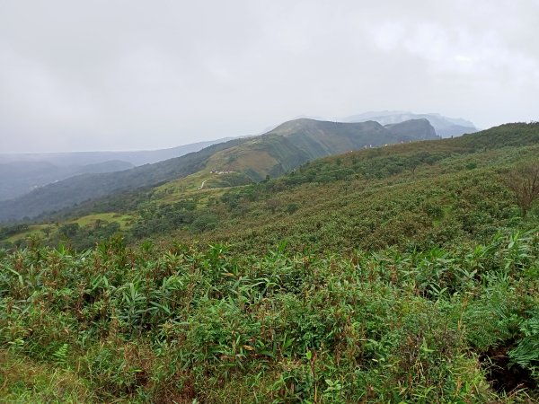 【新北-臺灣百大必訪步道】灣坑頭山→福德山→桃源谷草嶺線→大溪線→蕃薯寮山→大溪火車站1524678