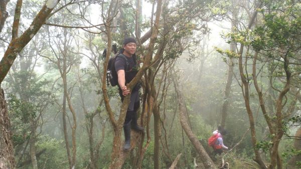 那結山(那是山，1520M-328329