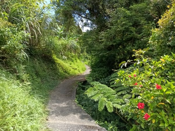 汐止區姜子寮田園步道+旗尾崙+姜子寮絕壁、瀑布O型2822232