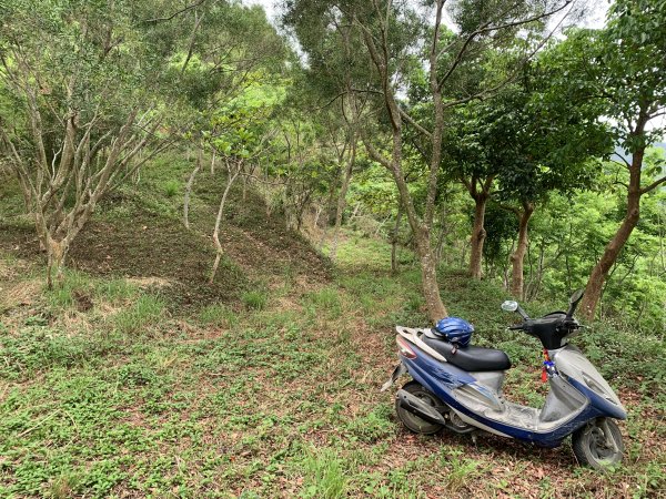 20250405屏東內南世山-西霧里乙山2757790