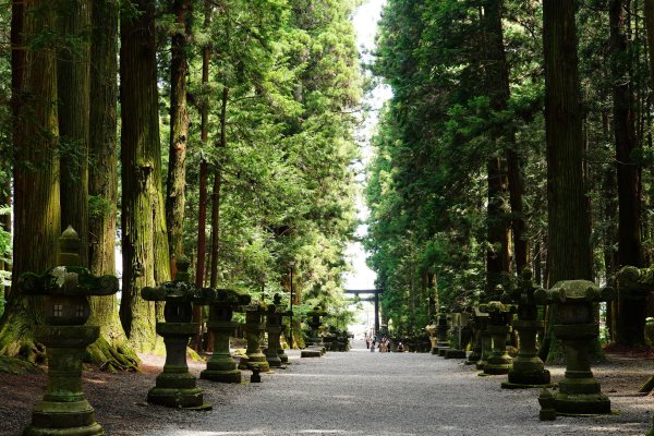 日本 中部 山梨縣 富士山3086315