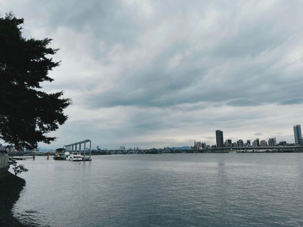 2023 臺北大縱走 8：捷運關渡站至華江雁鴨自然公園(上)2079555