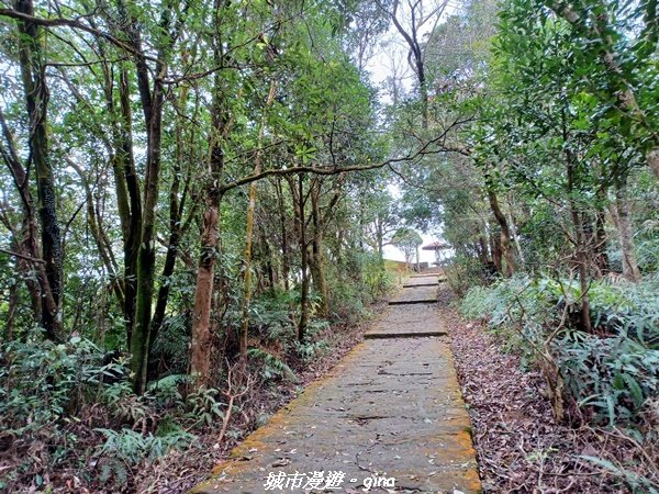 【台北。內湖】山頂好眺望。 小百岳集起來。 編號8小百岳大崙頭尾山親山步道1590477