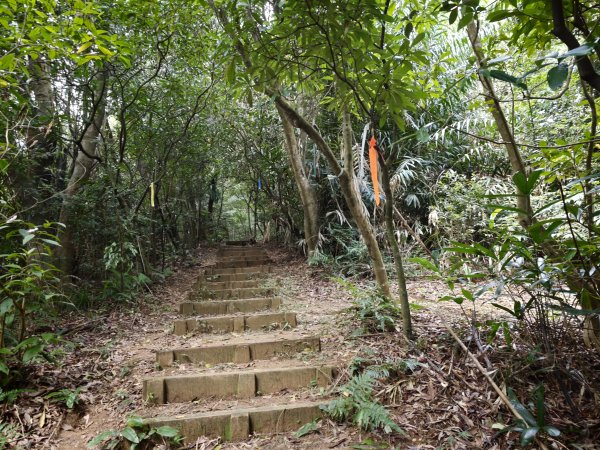 [淡蘭古道] 2026_0531 北路第四段_金字碑古道(上)-牡丹段3071019